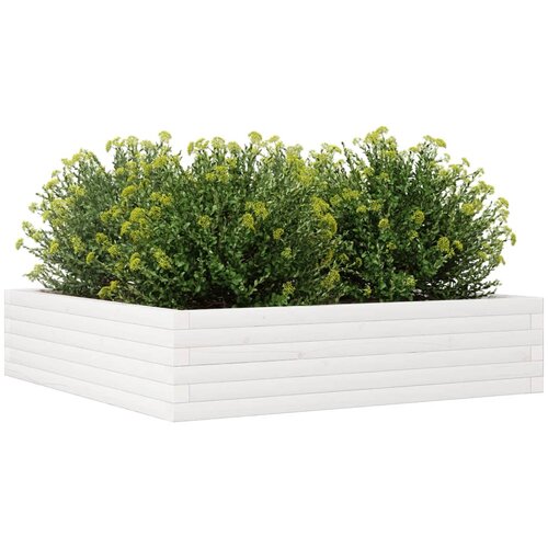  Vrtna sadilica bijela 100x100x23 cm od masivne borovine Slike
