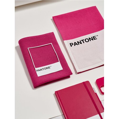 Sinsay Komplet od 2 kuhinjske krpe Pantone Cene