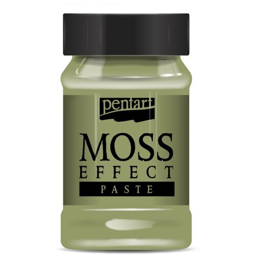  pasta z učinkom mahovine pentart 100 ml | različne barve Slike