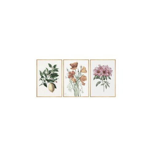 WALLXPERT dekorativna slika iz 3 dela Huhu278 50 x 70 Slike