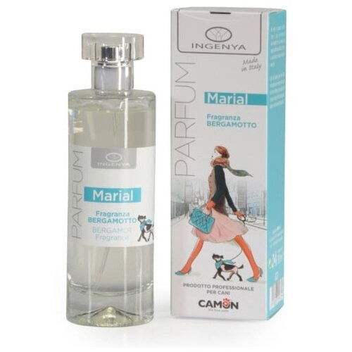 Camon ingenya parfem marial 100ml 13831 Cene