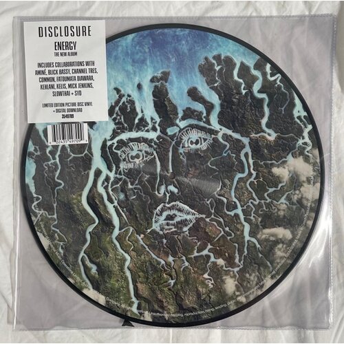 Disclosure Energy (Rsd 21) Cene