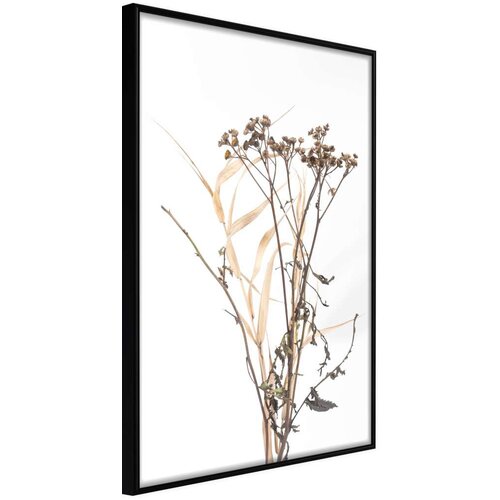  Poster - Diary of a Herbalist 20x30 Cijene