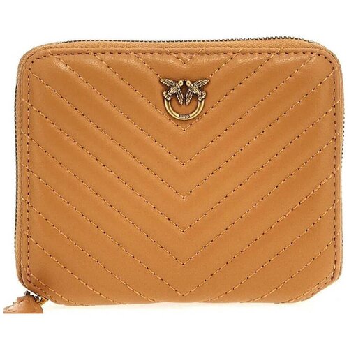 Pinko Denarnice - Kostanjeva Slike