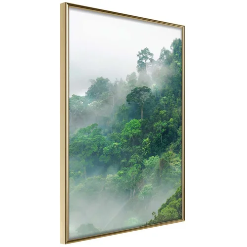  Poster - Green Lungs of the Earth II 40x60