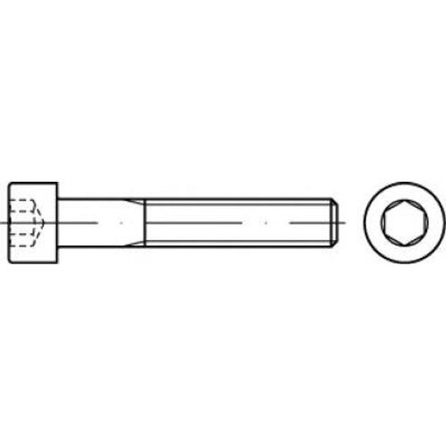 Toolcraft TO-5442021 vijci s cilindričnom glavom 38 mm 19 mm unutarnji &scaron;esterostrani 83912 čelik A5 100 St. Cijene
