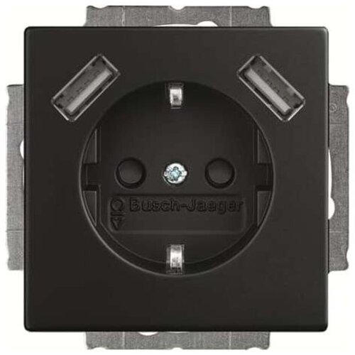 Busch-Jaeger SCHUKO-2x vtičnica USB 20 EUCB2USB-885, (20888171) Cene