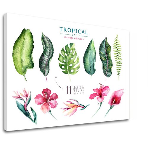  Slike na platnu sa tekstom Tropical set flamingo (moderne) Cijene