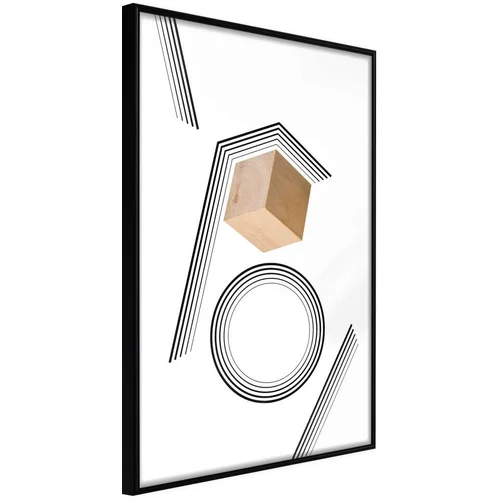  Poster - Cube in a Trap 20x30