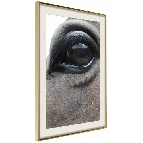 Poster - Gentle Eyes 20x30