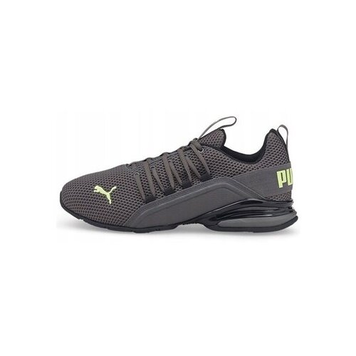 Puma Nizke superge 19438409 pisana Cene