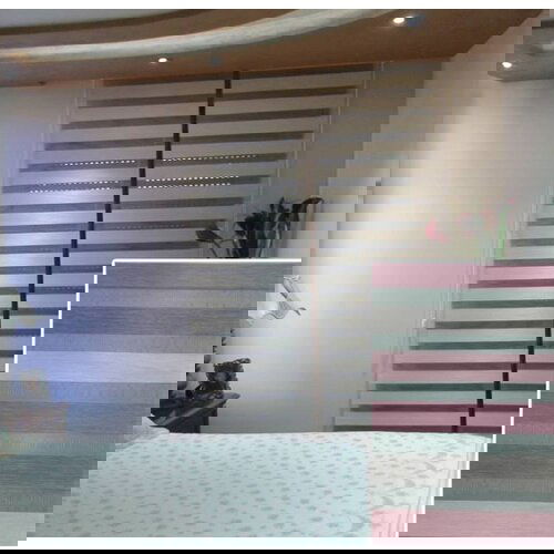 Omni Casa Zebra rolo sistem sa maskom 90x260 cm Mercedes 250 Z3 Cene