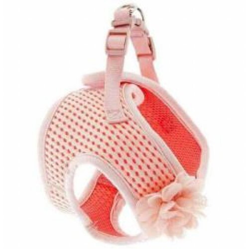 AM breeze flower m 50-60cm Cene