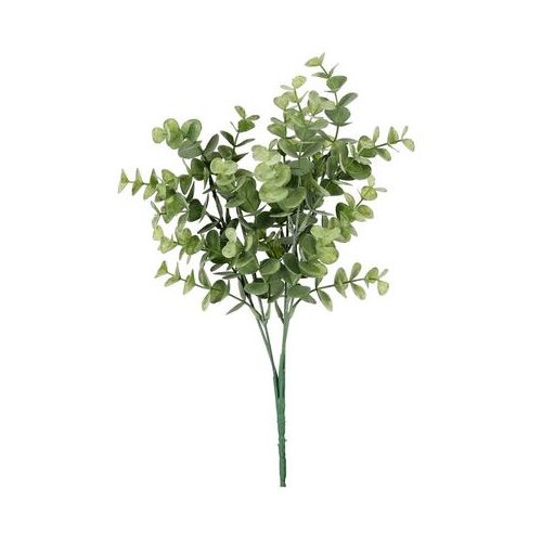  GRANA EUKALIPTUSA 36CM PVC BIZZOTTO Cijene