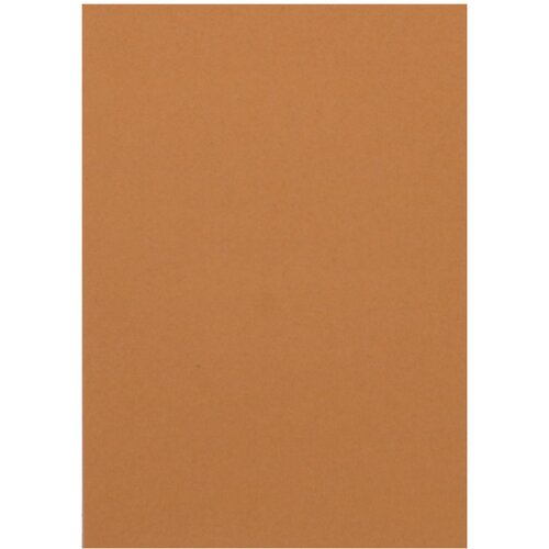 Tts Papir Ham 220g A4 1/1 Kamel Cijene