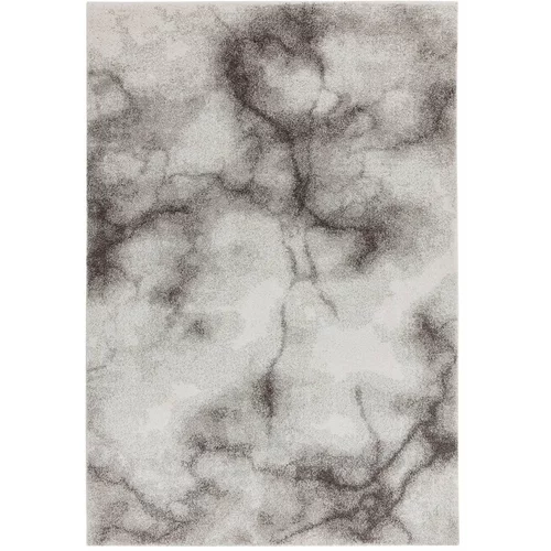 Asiatic Carpets Sivi tepih 160x230 cm Dream –
