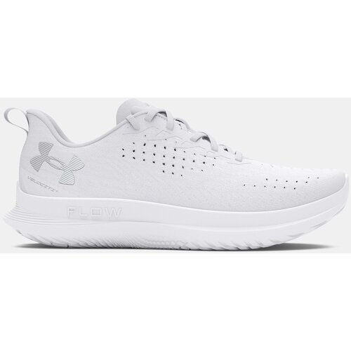 Under Armour Women's shoes UA W Velociti 4-WHT - Women's Cene