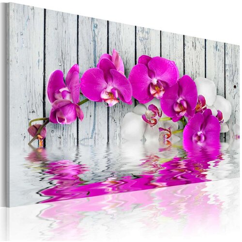  Slika - harmony: orchid 60x40 Slike