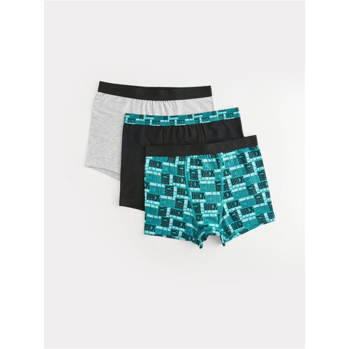 LC Waikiki Boxer Shorts - Green Slike