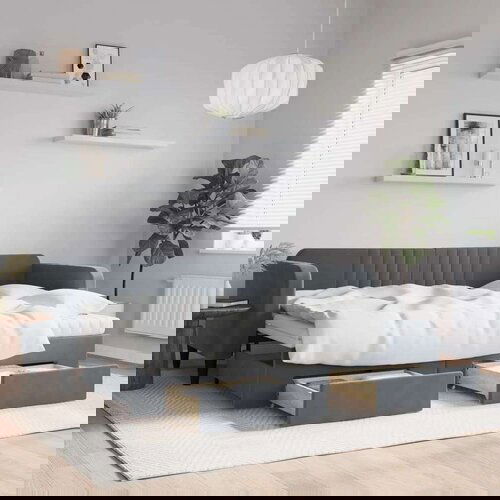  Dnevni krevet na razvlačenje tamnosivi 80 x 200 cm bar&amp;scaron;unasti Slike