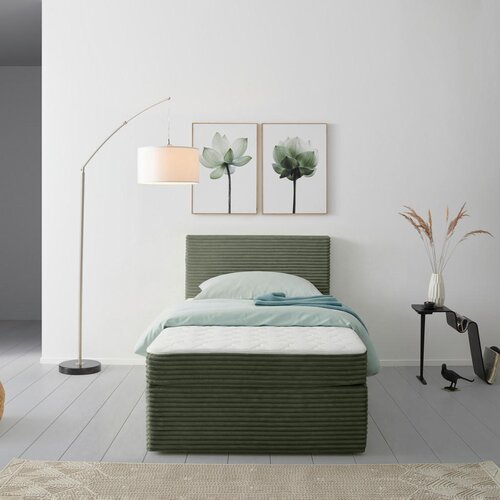 P &amp;amp; B POSTELJA Z VZMETNICO 100 cm x 200 cm , les, tekstil zelena Slike