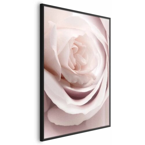  Plakat Porcelain Rose 29.7x42 Crni okvir Cijene