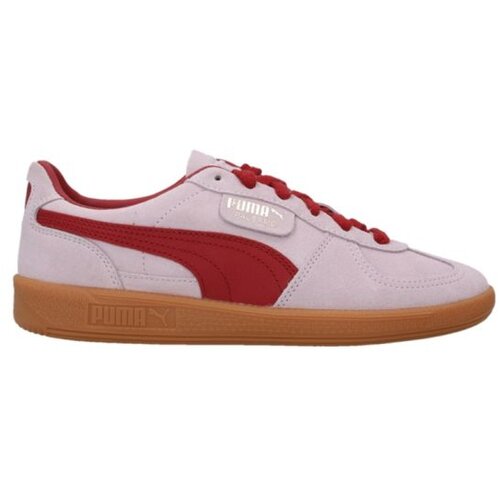 Puma palermo Cene