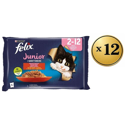 Felix Vlažna hrana za mačke prelivi Junior, 48x85g Cene