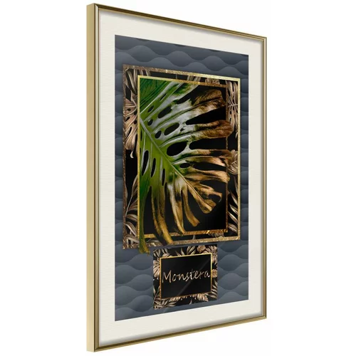  Poster - Monstera in the Frame 20x30