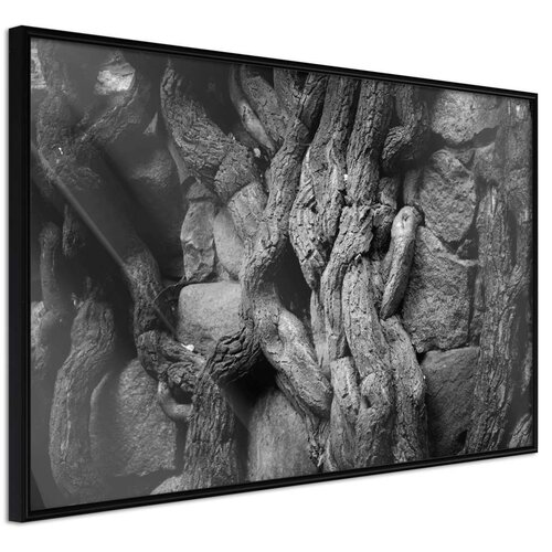  Poster - Strong Roots 30x20 Cijene