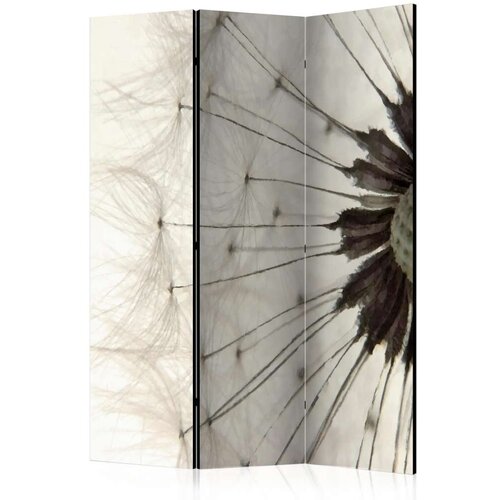  Paravan u 3 dijela - White Dandelion [Room Dividers] 135x172 Cene
