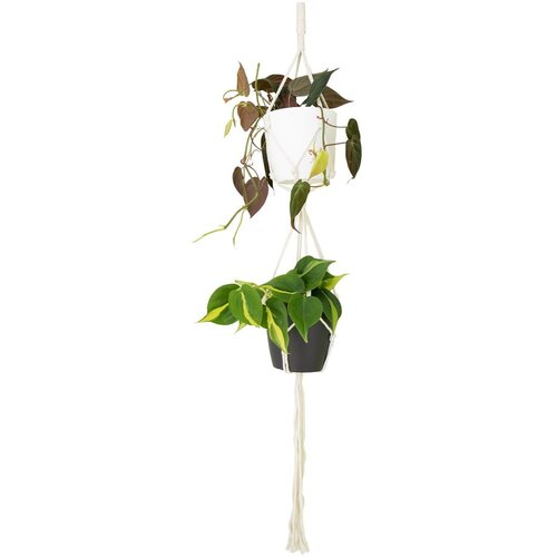 Artevasi tekstilna vrv za obešanje cvetličnih loncev ø 10 cm (višina 120 cm) Macramé – Cene