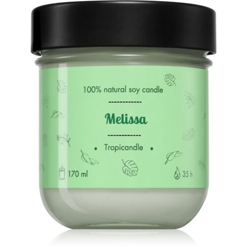 Tropicandle Melissa mirisna svijeća 170 ml Cene