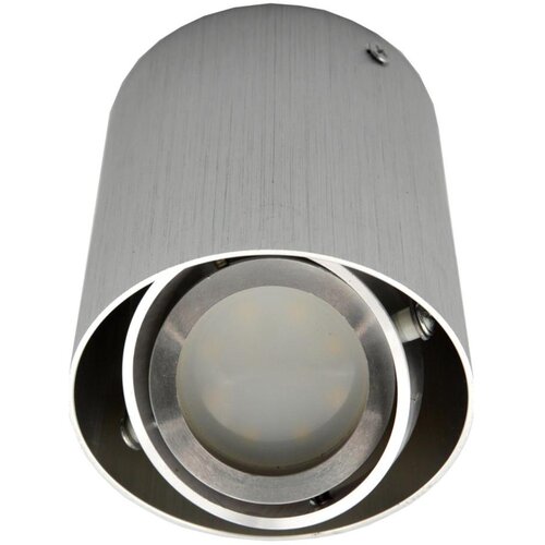  Stropna spot svetiljka SIROK 1xGU10/30W/230V srebrna Slike