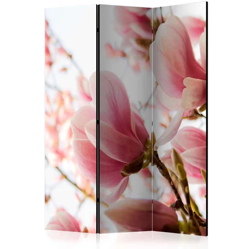  Paravan u 3 dijela - Pink magnolia [Room Dividers] 135x172