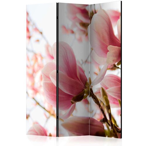  Paravan u 3 dijela - Pink magnolia [Room Dividers] 135x172 Slike