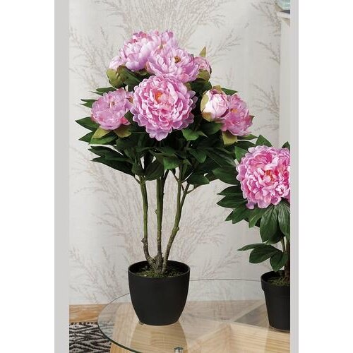  PEONIJA 69CM 49691 STAR Cijene