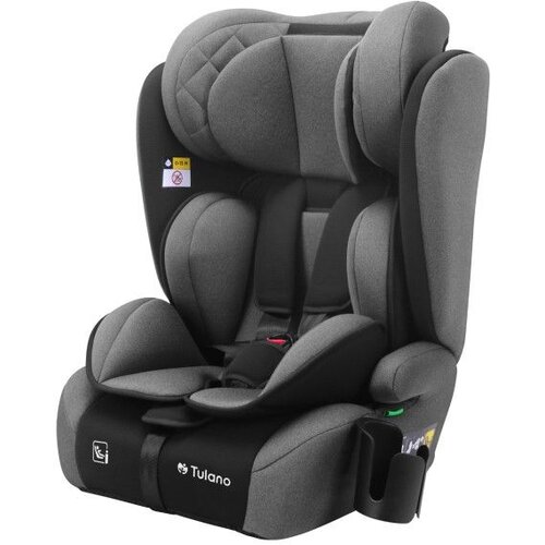  Autosjedalica Zooma 25 sivo-crna Cijene