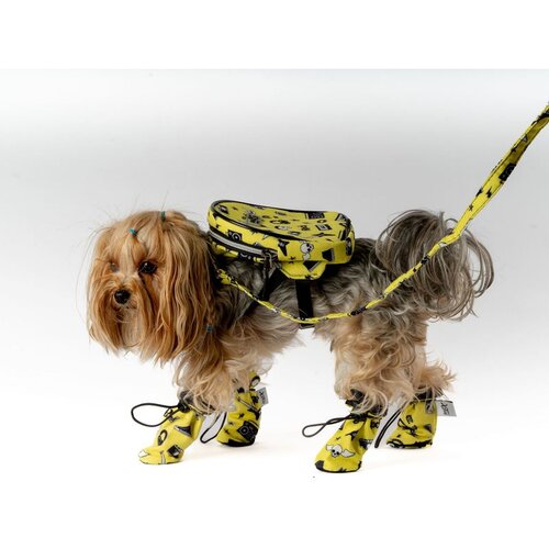 Paws & Whiskers Žute cipele za pse - Yellow Dog Shoes Cene