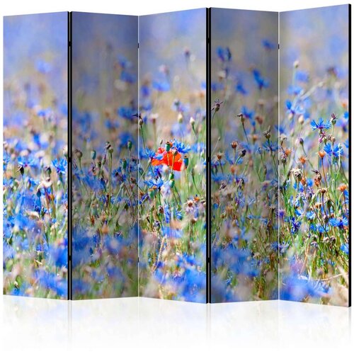  Paravan u 5 dijelova - A sky-colored meadow - cornflowers II [Room Dividers] 225x172 Cijene
