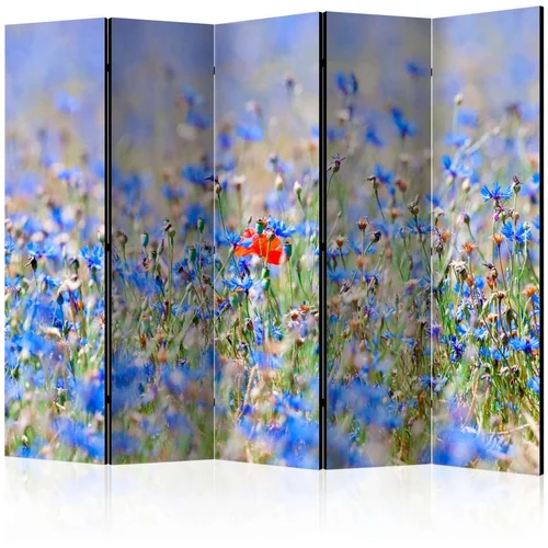  Paravan u 5 dijelova - A sky-colored meadow - cornflowers II [Room Dividers] 225x172