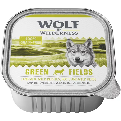 Wolf of Wilderness Ekonomično pakiranje Adult 24 x 300 g - Green Fields - janjetina