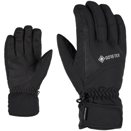 Ziener skija&scaron;ke rukavice GARWEN-Z GTX - 10 Cijene