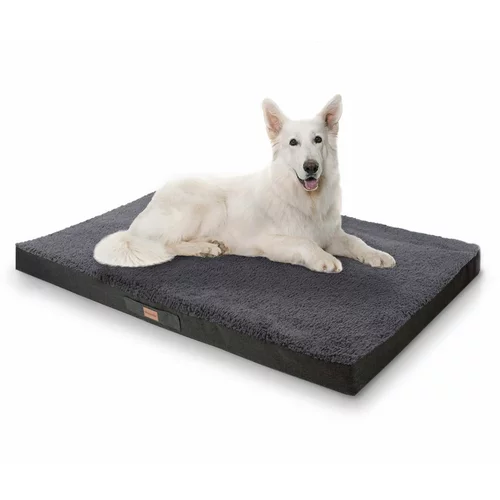 brunolie Balu, pasja postelja, blazina za psa, pralna, ortopedska, protizdrsna, zračna spominska pena, velikost XXL (120 × 10 × 100 cm)