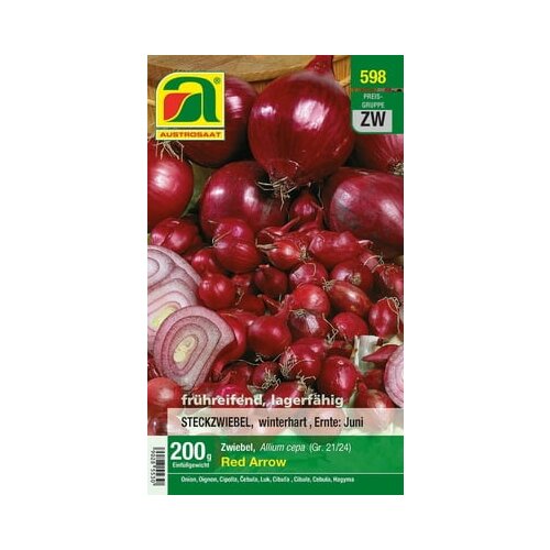 AUSTROSAAT Zimska čebula &amp;quot;Red Arrow&amp;quot; Slike