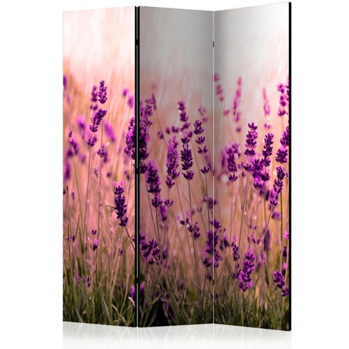  Paravan u 3 dijela - Lavender in the Rain [Room Dividers] 135x172 Cijene