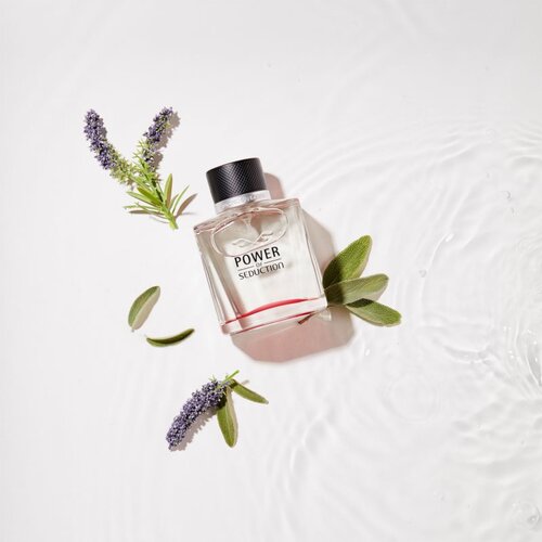Antonio Banderas power of Seduction toaletna voda 100 ml za muškarce Cijene