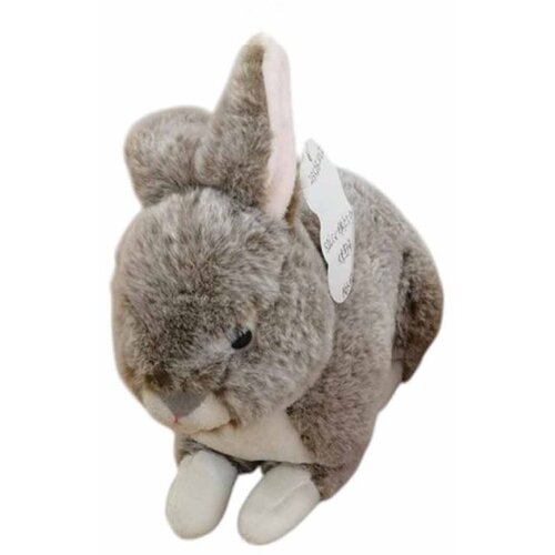  Zec 25cm Cijene