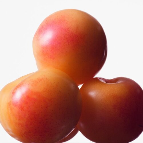 Calvin Klein Deep Euphoria toaletna voda 100 ml za žene Cijene