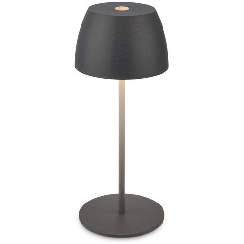 BRILO led baterijska namizna svetilka serina mini antracit 20 cm x &oslash; 8 cm Cene